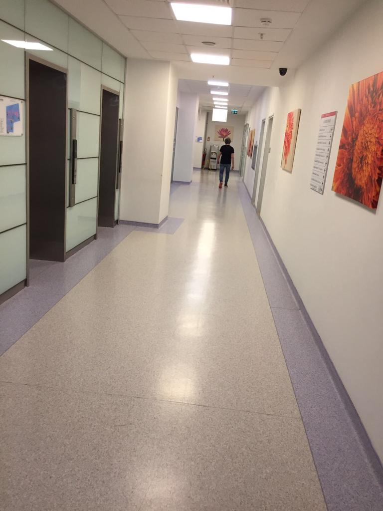 Duvar Doruma Bariyeri İle Homojen PVC Kaplama Sistemleri