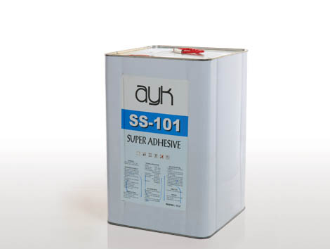 SS 101